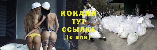 винт Арсеньев