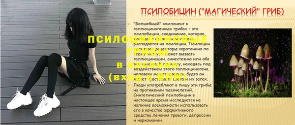 винт Арсеньев