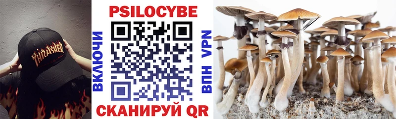 Галлюциногенные грибы мухоморы  Осинники 